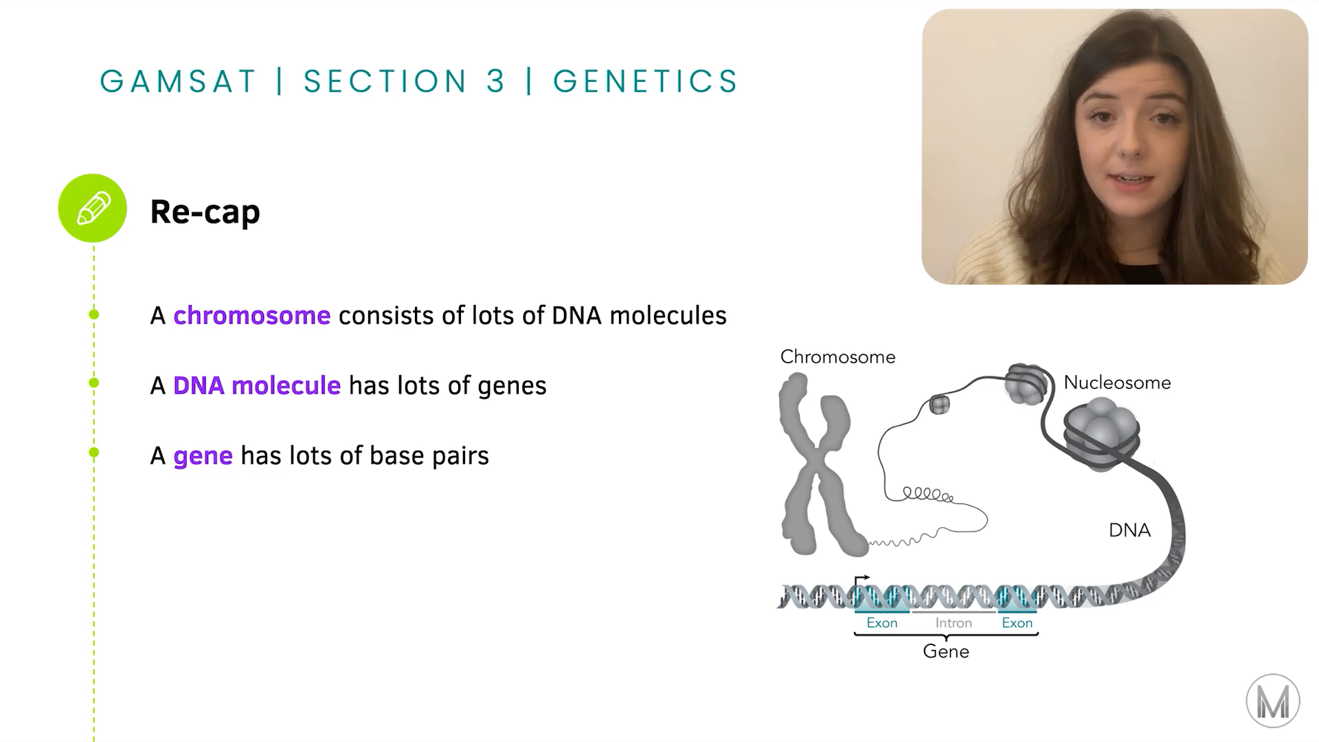 GAMSAT S3 Biology Genetics