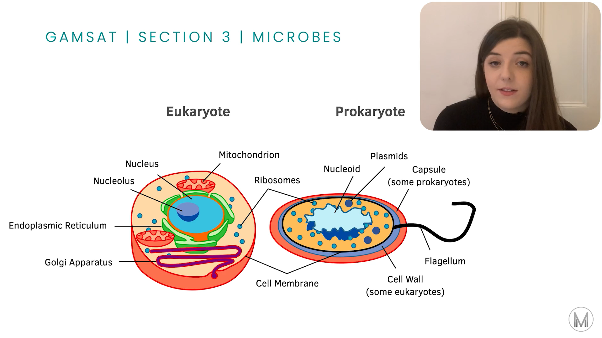 GAMSAT S3 Biology Microbes